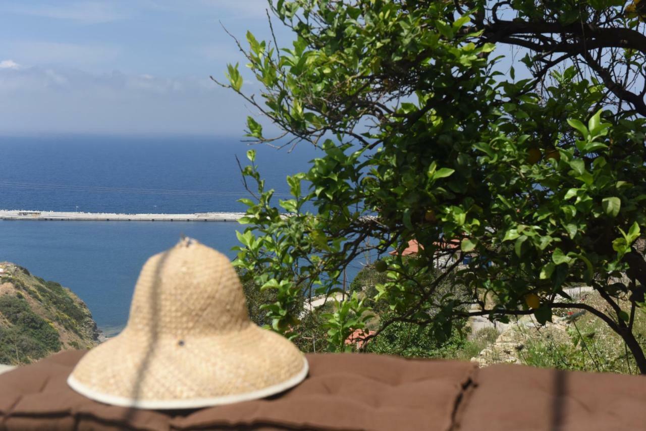 Villa Mare Vista Évdilos Exterior foto